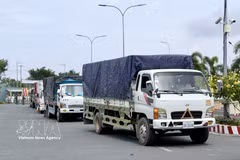 货车在庆平陆路国际口岸集结等待办理进口手续。图自越通社