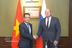 越南驻俄罗斯大使邓明魁会见俄罗斯副总理德米特里·切尔内申科 图自越通社