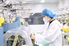 外国直接投资企业群体期待，不断深化的制度革新将营造一个公开透明、持续稳定且更具竞争优势的法律环境。图片来源： 越通社 