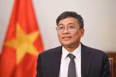 越共中央委员、外交部常务副部长阮明羽 图自外交部
