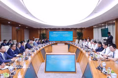 柬埔寨监察部部长访问并与越南投资发展股份商业银行举行工作会谈。 图自越通社