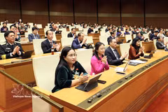 国会表决通过关于减免个人和企业所得税的国会决议。图自越通社 