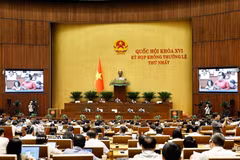  会议全景 图自越通社