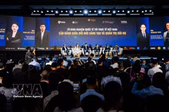 “从国际经验到越南实践：在创新与风险治理之间寻求平衡”专题讨论会现场。图自越通社