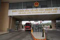 越南货运车辆经老街国际口岸办理通关手续。图自越通社