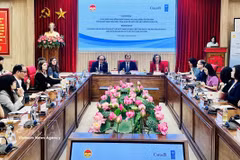 会议场景 图自越通社