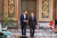 越南外长黎怀忠会见比利时副首相兼外交大臣马克西姆·普雷沃 图自越通社
