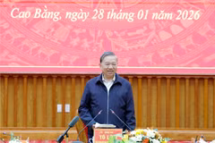 越共中央总书记苏林发表讲话 图自越通社