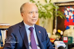 越南驻法国前大使丁全胜 图自越通社