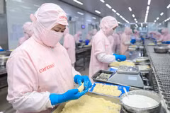 Cofidec 达到严格的国际标准，助力提升越南农林水产品在全球出口版图上的价值。图：越通社