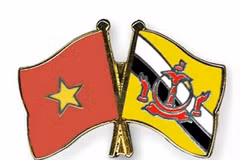 附图 图自crossed-flag-pins.com