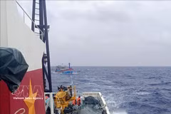 KN 462号船将BĐ-98387-TS号渔船（嘉莱省）及9名渔民拖带回西礁岛避风港。图：越通社发