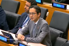 越南常驻联合国代表团团长杜雄越大使发表讲话 图自越通社