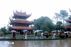 喃寺景观 图自越通社