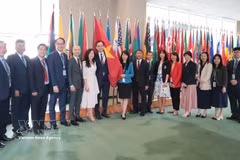 越南代表团出席国际海洋法法庭法官选举投票会议。图自越通社