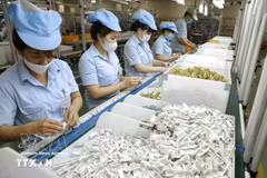 越南松下生活解决方案有限公司位于平阳省新渊市越南—新加坡工业园区（VSIP）的工厂内，家用电器生产场景。（图：越通社）