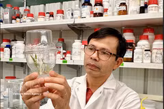 专家建议越南以遗传资源和新技术推动植物生物技术突破