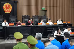 庭审讯问现场。图自越通社