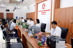海防市长新乡公共行政服务中心周末照常办公，为群众办理行政手续提供服务。图：越通社