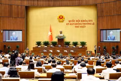 8月19日，第十六届国会第一次非常规会议第二阶段会议正式召开。 图自越通社