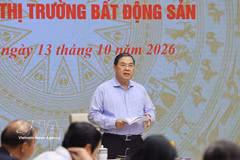 越南政府常务副总理、中央住房政策和房地产市场指导委员会主任范家足主持召开会议 图自越通社