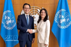 越南常驻联合国代表团团长杜雄越大使与第80届联合国大会主席安娜莱娜·贝尔伯克。图自越通社