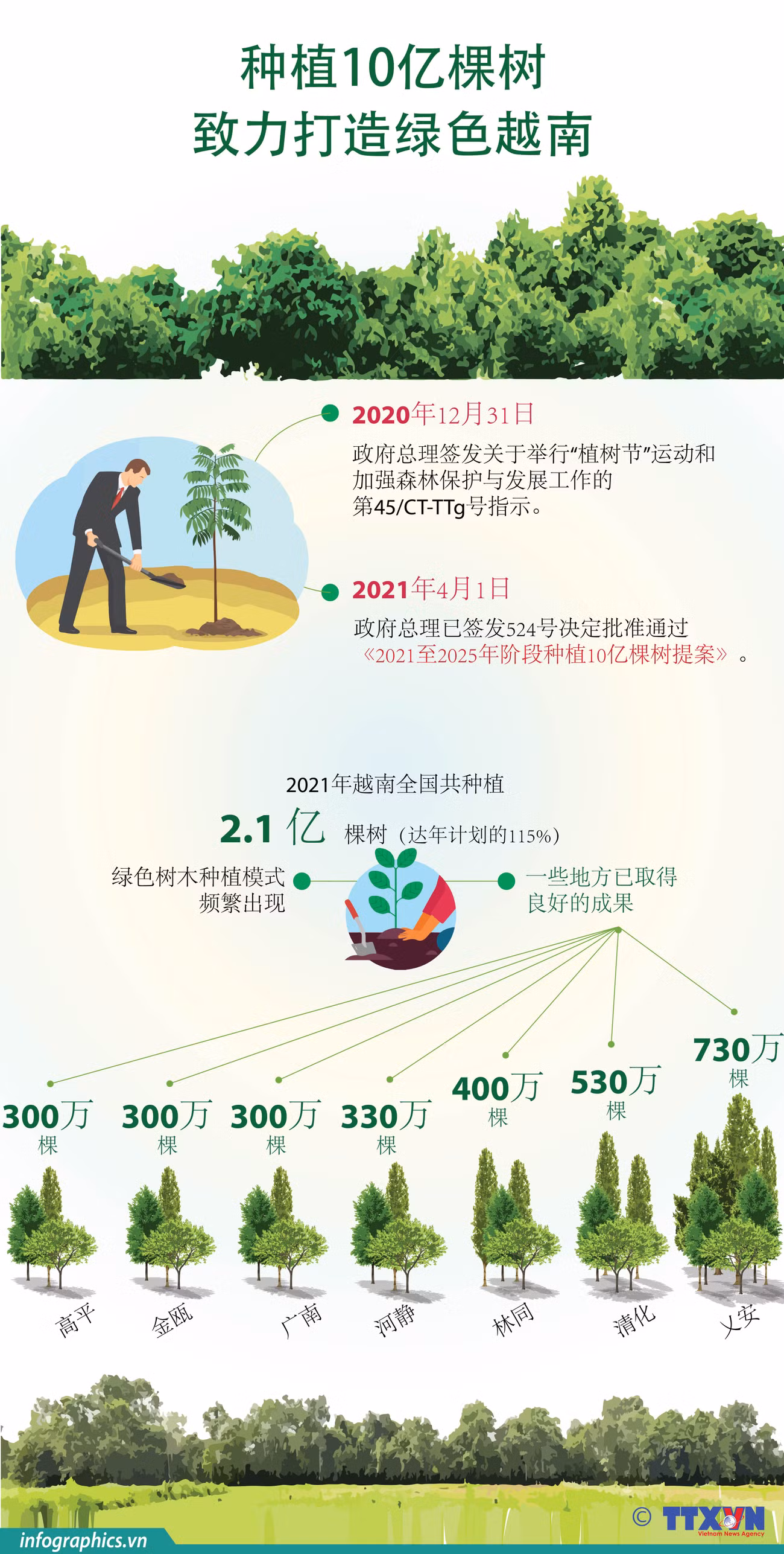 图表新闻：种植10亿棵树 致力打造绿色越南 ảnh 1