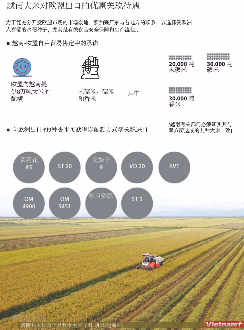 图表新闻： 越南大米对欧盟出口的优惠关税待遇 ảnh 1
