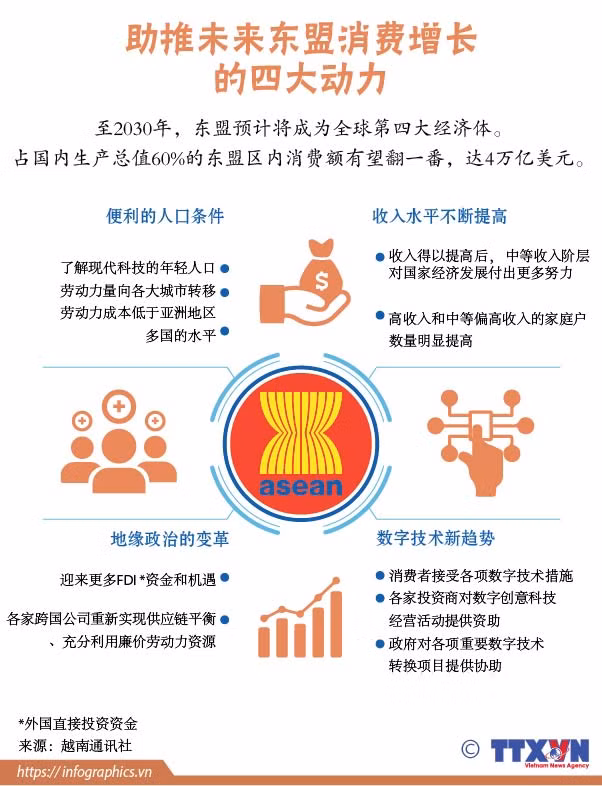 图表新闻：助推未来东盟消费增长的四大动力 ảnh 1
