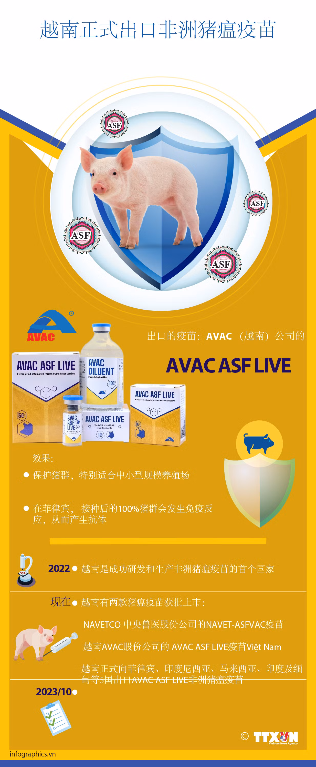 图表新闻：越南正式出口非洲猪瘟疫苗 ảnh 1