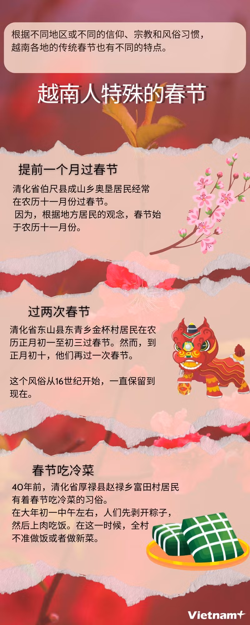图表新闻：越南人特殊的传统节日——春节 ảnh 1
