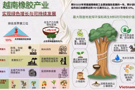越南橡胶产业实现绿色增长与可持续发展