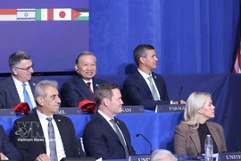 越共中央总书记苏林出席加沙和平委员会开幕会议