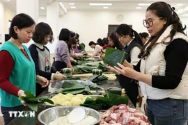 旅居中国大陆和香港的越南人兴高采烈迎新春