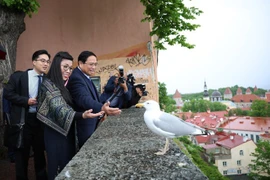 越南政府总理范明政夫妇参观塔林古城。塔林古城历史中心,位于爱沙尼亚北部波罗的海岸边,是爱沙尼亚首都,与芬兰首都赫尔辛基之间隔了80千米宽的芬兰湾。图自 越通社