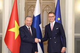 越共中央总书记苏林与芬兰共和国总统亚历山大·斯图布举行会谈
