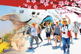 2025乙巳年春节假期后越南旅游迎来“开门红”