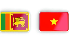 越南与斯里兰卡巩固与加强友好合作关系