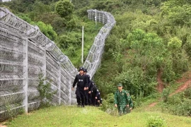 越中两国启动2025年边境巡逻踏查活动