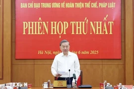 越共中央完善法律体制指导委员会召开第一次会议