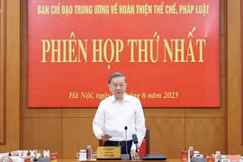 越共中央完善法律体制指导委员会召开第一次会议