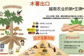 木薯出口——越南农业的新“王牌”
