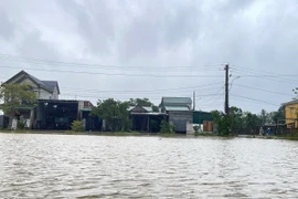 顺化市中心若干道路被淹没 山区部分道路上发生山体滑坡