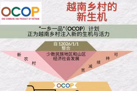 大力提高“一乡一品”产品质量 为越南乡村注入新生机