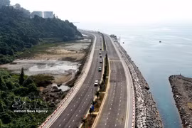岘港将海洋经济作为可持续增长战略中的支柱产业