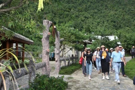 社区营造与文旅发展：从深挖与弘扬地方文化做起