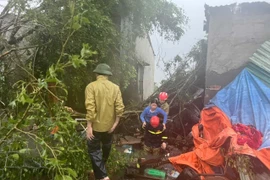 第10号台风直接影响越南中部地区各省，造成巨大损失