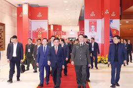 越共中央书记处常务书记陈锦秀主持越共十四大服务工作总检查