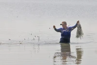 游客和当地居民下田涉水、撒网捕鱼，体验涨水期文化节特有的生活方式。图自 越通社