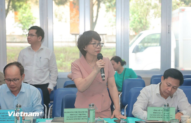 越南农业与环境部自然保护与生物多样性保护局副局长黄氏青闲 图自Vietnam+ da-dang-sinh-hoc-1902.jpg